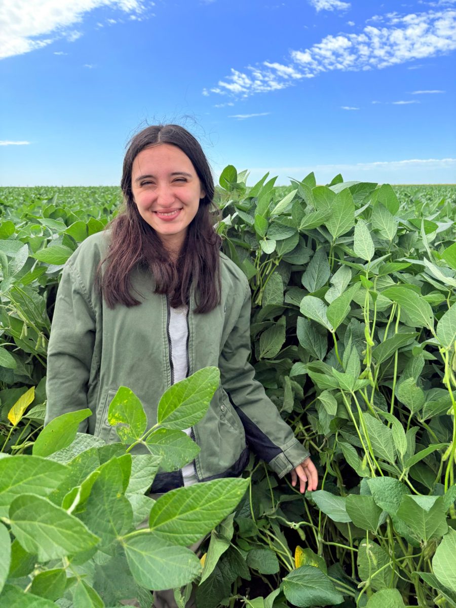 Amelia Carrascosa en un cultivo de soja