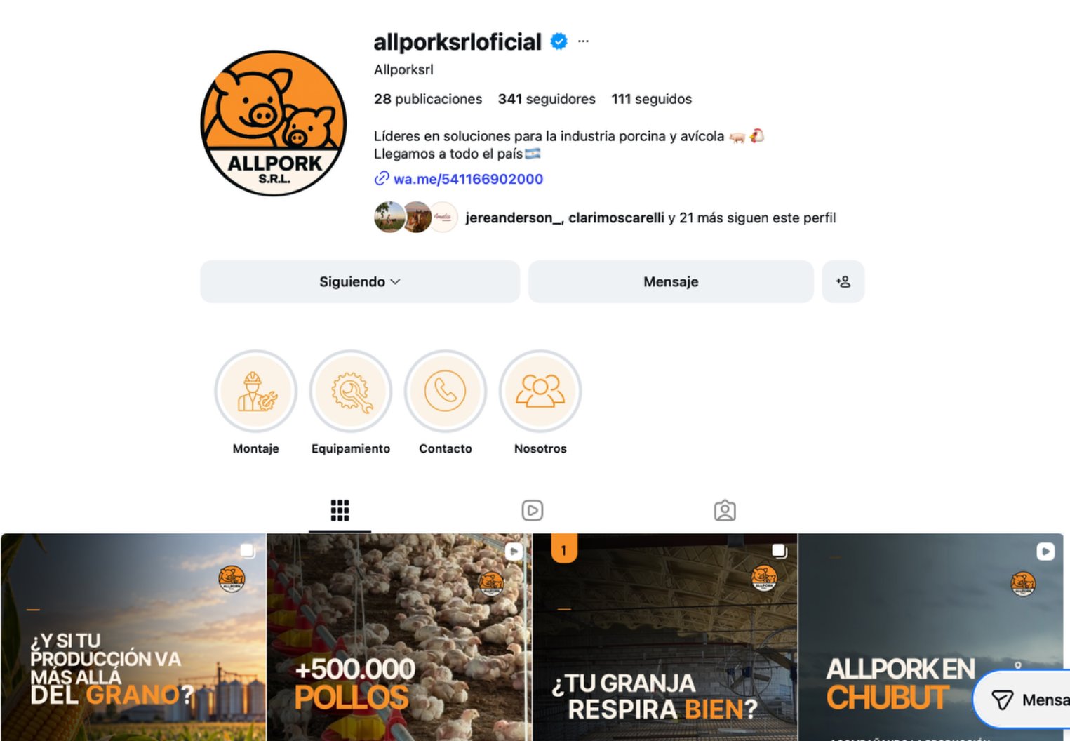 Captura del perfil actual de AllPork, con identidad visual renovada, 341 seguidores y 28 publicaciones