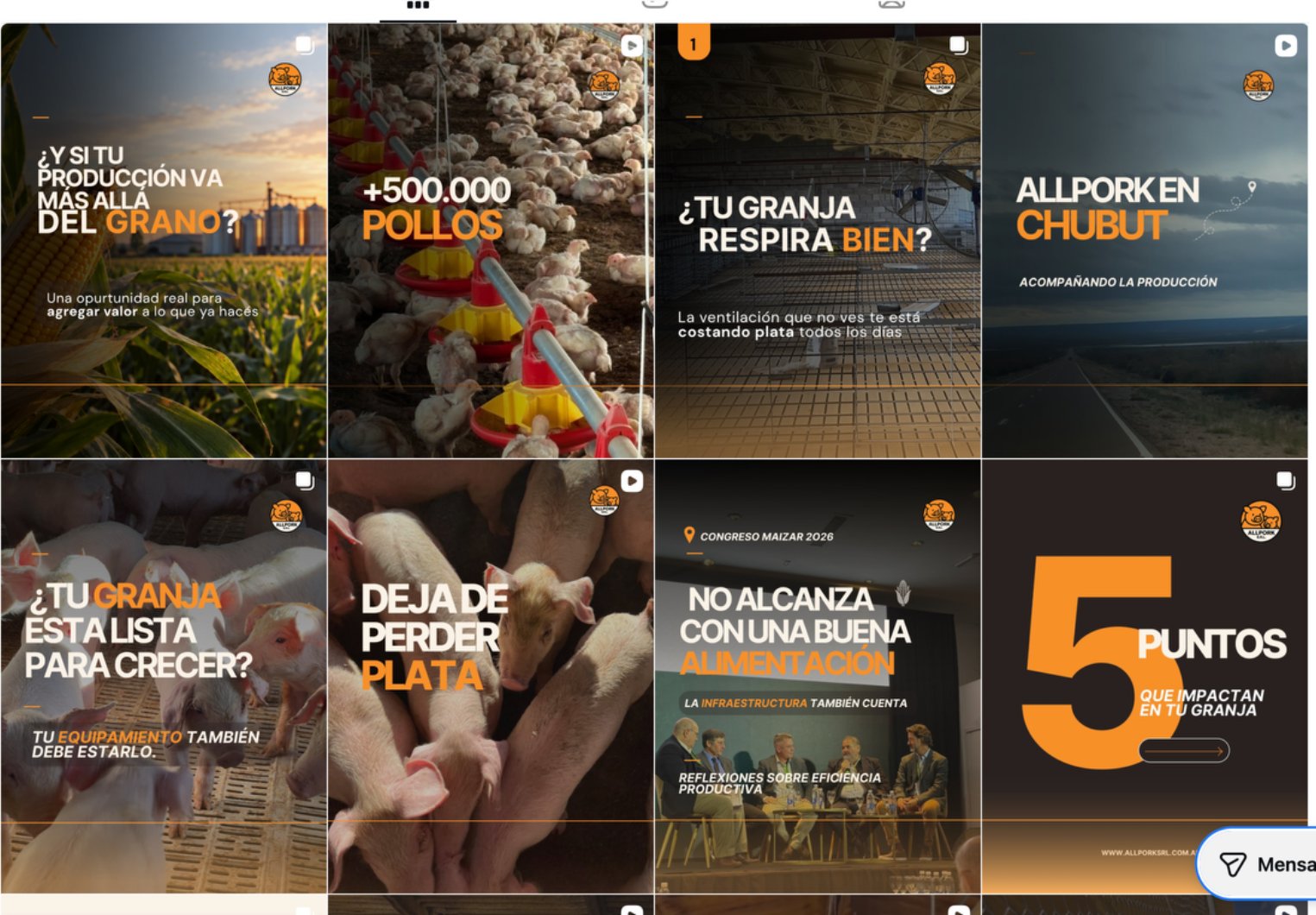 Publicaciones actuales de AllPork con identidad gráfica naranja y negra y contenidos sobre producción porcina y avícola
